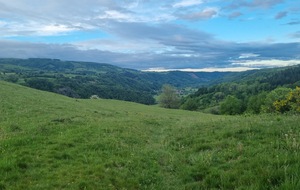 6a01af823c5e5_20260510072440.jpg